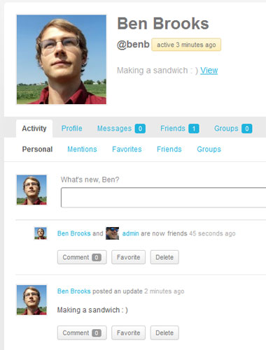 The new BuddyPress 1.5 profile and activity stream